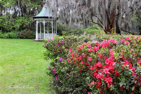 Aiken House & Gardens: Magnolia Plantation & Gardens