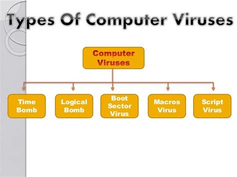 Types Of Computer Viruses List