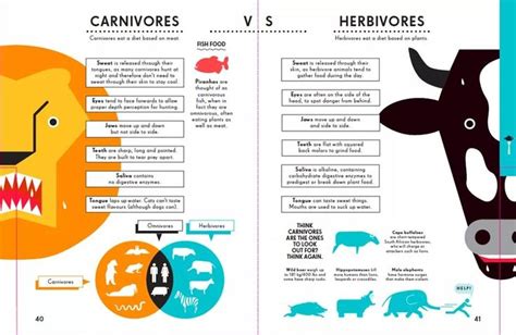 Carnivores vs herbivores | Herbivores, Animal infographic, Infographic