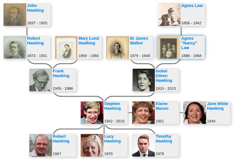 Family tree of Stephen Hawking - Blog for Entitree