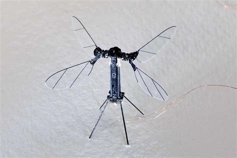 Tiny flying insect robot has four wings and weighs under a gram | New ...