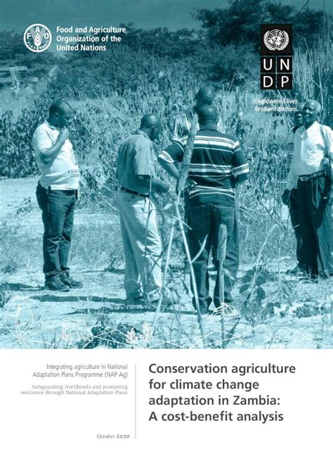 (PDF) Conservation agriculture for climate change adaptation in ...