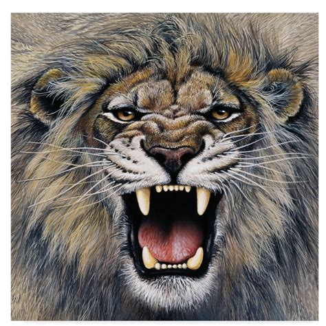 Trademark Art 'Lion Roaring' Acrylic Painting Print on Wrapped Canvas ...