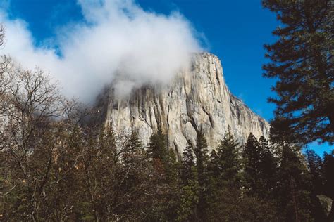 Sierra Meadows Has The COOLEST Yosemite Cabins