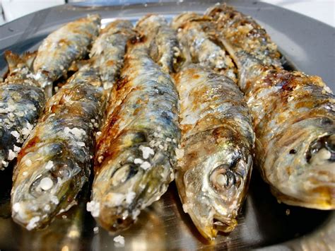 Sardines Season in Portugal 2024 - Rove.me