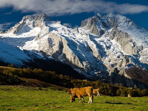 Национальный парк Пикос-де-Эуропа (Picos de Europa)