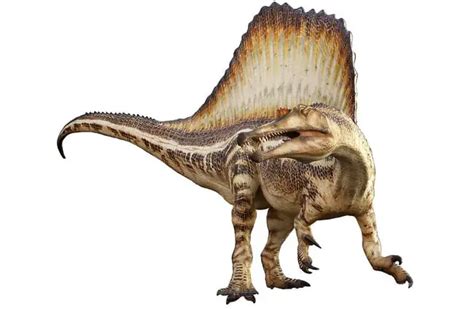 Spinosaurus - Description, Habitat, Image, Diet, and Interesting Facts