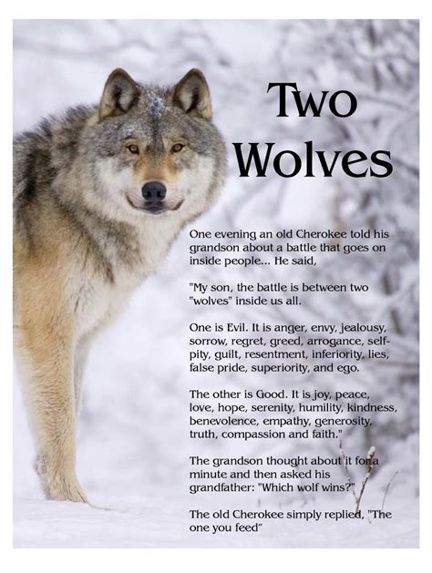 Two Wolves – New Earth Energies