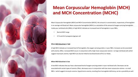 Understanding MCH Blood Test Values: Decoding CBC Panel