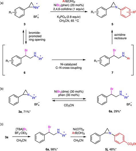 of available mechanistic data for the cross-coupling of 3a a Reversible... | Download Scientific ...