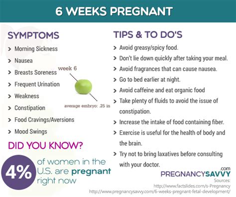 Pregnant 6 Weeks Symptoms Come And Go, - Pregnancy Sympthom