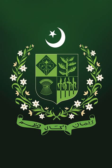 Pakistan State Emblem Vector Logo in 2022 | Vector logo, Pakistan states, Emblems