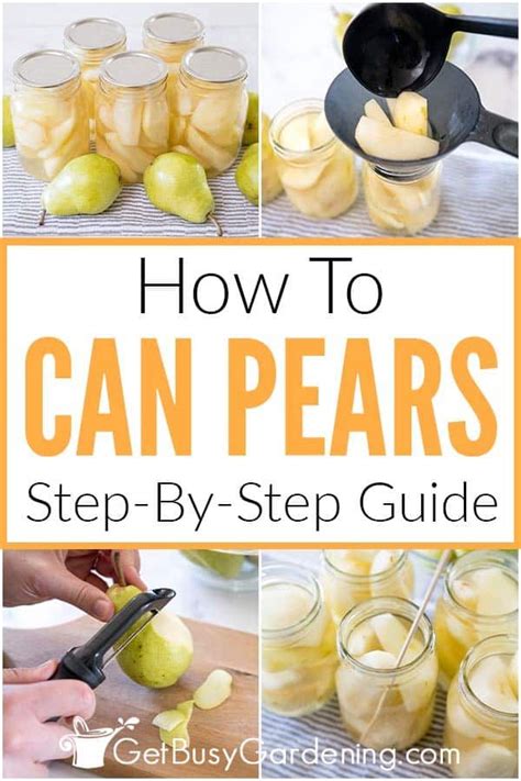 Canning Pears: Step-by-Step Guide for Preserving Your Harvest