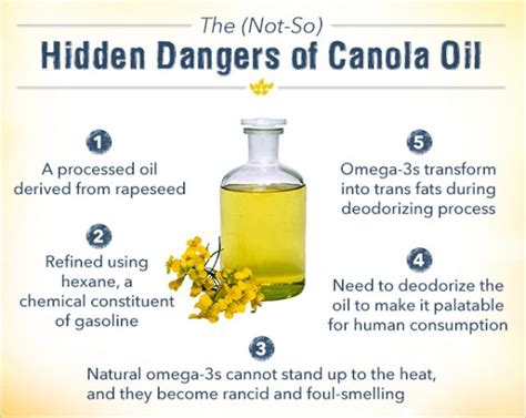 What is Canola oil? - Your Path to Wellness