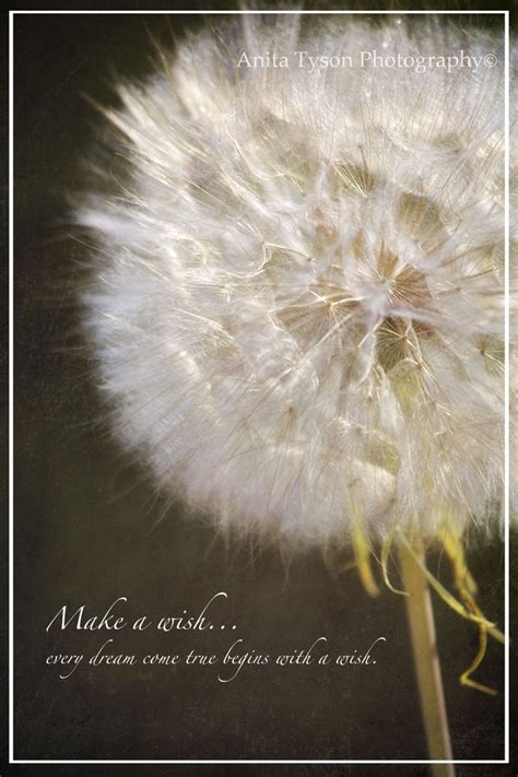 Make a wish! | Make a wish, Wish, Inspirational quotes