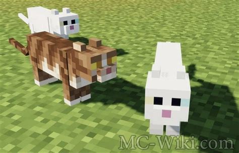 Cat - Mobs - Minecraft Wiki