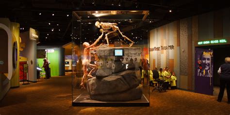 4 Interactive Family Museums in Denver