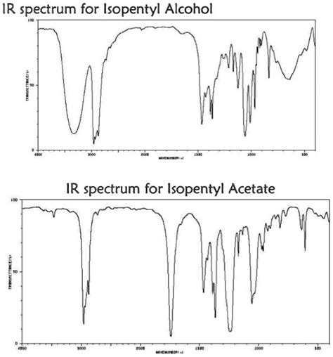 IR spectrum for Isopentyl Alcohol IR spectrum for Isopentyl Acetate