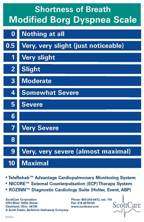 sob borg scale - Google Search | Physical therapy, Scale, Therapy