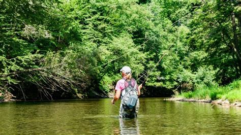 Essential Fly Fishing Techniques for Beginners: Master the Art Now