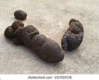 Poop Real Photos, Images & Pictures | Shutterstock