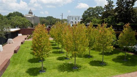 Savannah's Ships of the Sea museum unveils its verstile North Garden