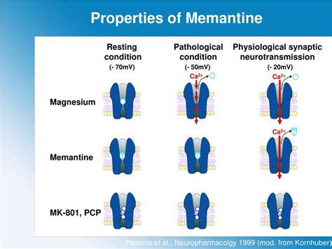 PPT - Properties of Memantine and Mechanism of Action PowerPoint ...