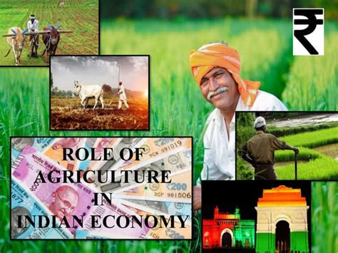 Role Of Agriculture in Indian Economy