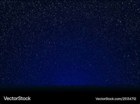 Grass on starry night sky with dark blue glow Vector Image