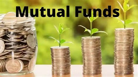 How many types of Mutual funds are there in India? - Learning sharks ...