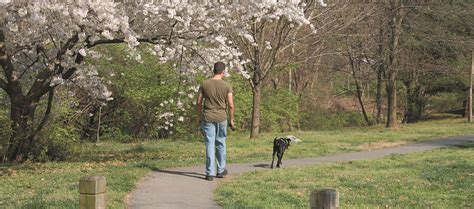 Walking Trails | web | Anacostia Trails Heritage Area | Flickr