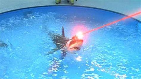 Sharks with frickin' laser beams | Sharks | Know Your Meme