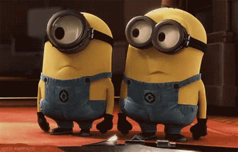 What Minion Gif