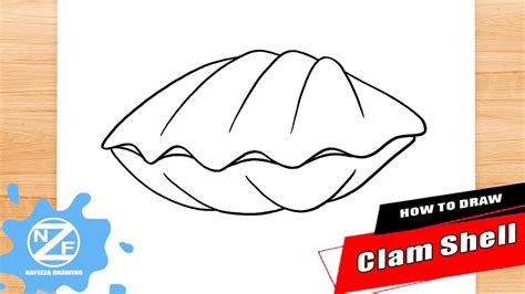 Clam Shell Drawing