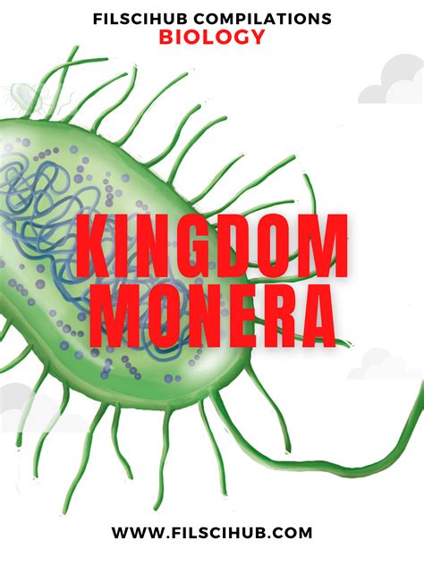 Kingdom Monera