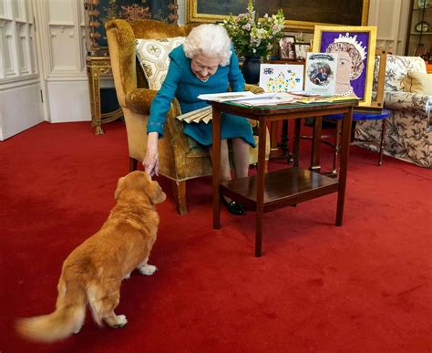 A look at Queen Elizabeth's lifelong love of corgis - ABC News