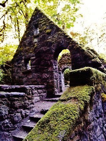 Forest Park (Portland) - 2019 All You Need to Know BEFORE You Go (with Photos) - TripAdvisor