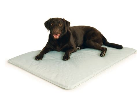 Cool Dog Beds For Large Dogs - Dog N Treats