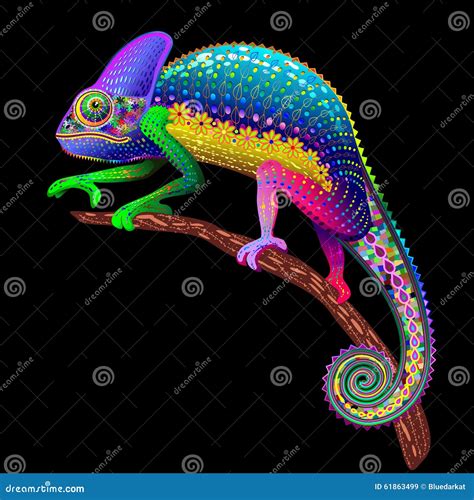 Chameleon Floral Rainbow Fantasy Stock Vector - Illustration of wild, fauna: 61863499