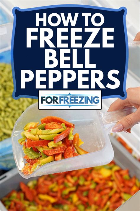 How To Freeze Bell Peppers – ForFreezing.com