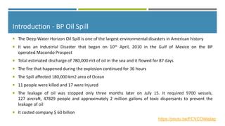 British Petroleum oil spill | PPT