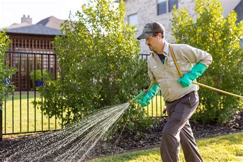 The 8 Most Notorious Lawn Weeds in North Texas & How to Get Rid of Them