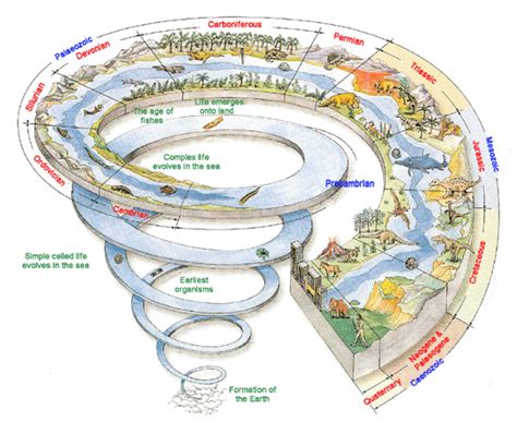 Cool Kid Lit 4 Social Studies / Trail of Tears Timeline Rubric