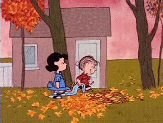 Fall Kicking GIF by Cheezburger - Find & Share on GIPHY