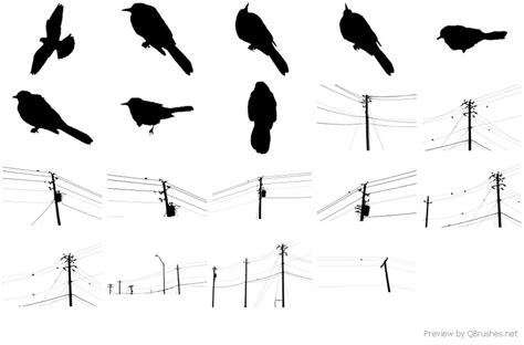 Birds And Power Lines - Download | Qbrushes.net