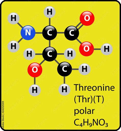 Threonine Amino Acid Molecule Ball and Stick Structure Stock Vector | Adobe Stock