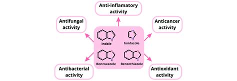 Illuminating the Therapeutic Potential of Indole Derivatives: A Comprehensive Exploration ...