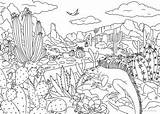 Free Printable Desert Coloring Pages Sketch Page sketch template