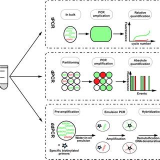 ctDNA analysis technologies, application and optimization methods in... | Download Scientific ...