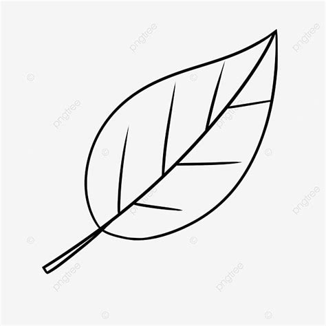 Simple Leaf Black and White Clipart